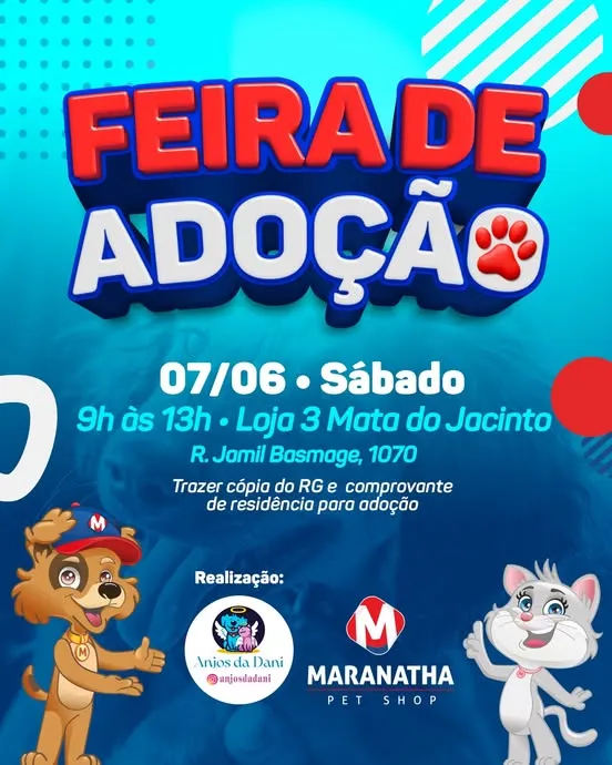 Participe da Feira de Adoção de Animais em Campo Grande no dia 07 de junho. Adote seu novo amigo! Leve cópia do RG e comprovante de residência.