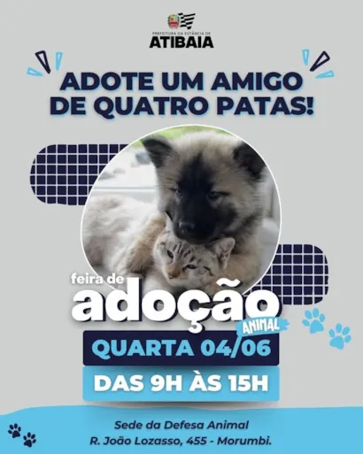 Encontre Seu Novo Melhor Amigo na Feira de Adoção de Atibaia!