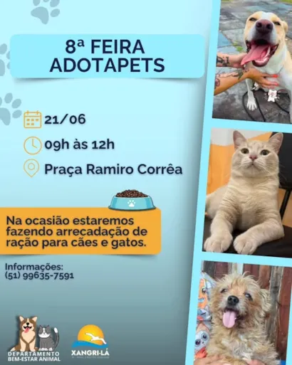 Participe da 8ª Feira AdotaPets e encontre seu novo amigo!