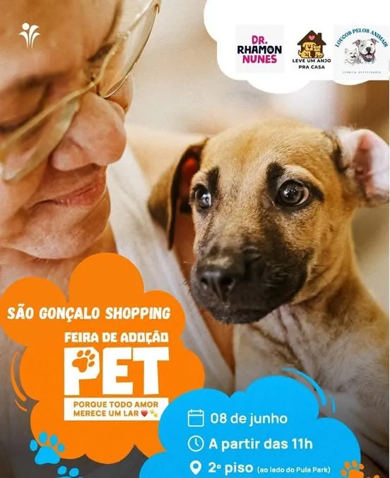 Participe da Feira de Adoção de Animais no São Gonçalo Shopping no dia 08 de junho de 2025. Dê a um pet a chance de ter um lar cheio de amor!