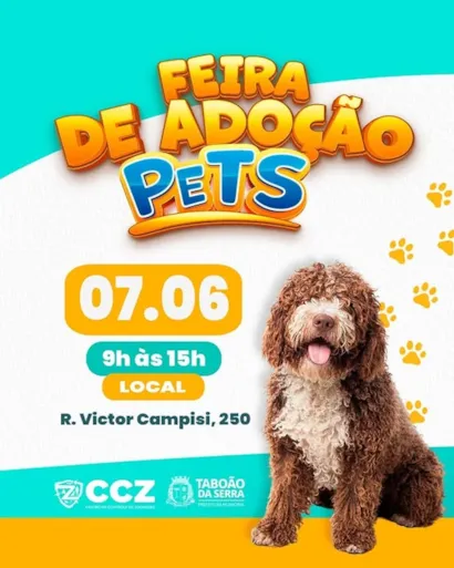 Evento Imperdível de Adoção de Pets em Taboão da Serra
