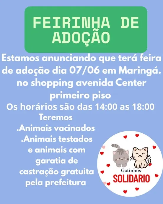 Participe da Feira de Adoção em Maringá no dia 07/06/2025. Adote animais vacinados e testados, com castração gratuita!