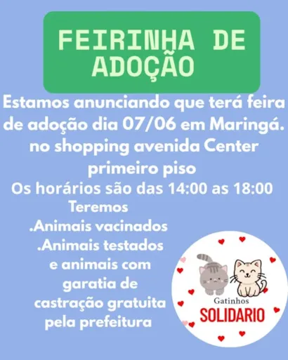 Encontre seu Novo Amigo: Feira de Adoção em Maringá