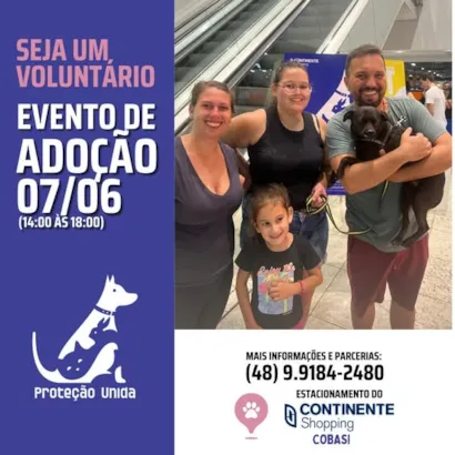 Feira de Adoção de Animais no Continente Shopping