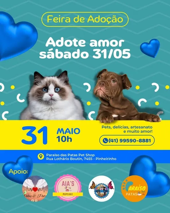 Participe da Feira de Adoção no Paraíso das Patas em Curitiba e encontre seu novo pet. Não perca!