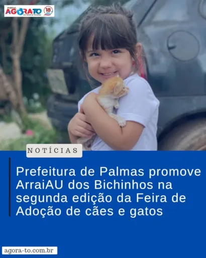 "ArraiAU dos Bichinhos: Feira de Adoção de Cães e Gatos em Palmas"