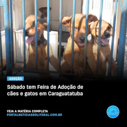 Encontre Seu Novo Amigo Peludo em Caraguatatuba