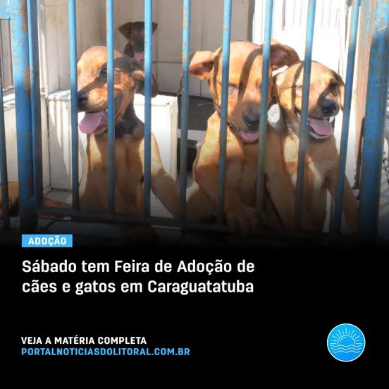 Venha para a Feira de Adoção de Cães e Gatos em Caraguatatuba e encontre seu novo companheiro neste sábado!