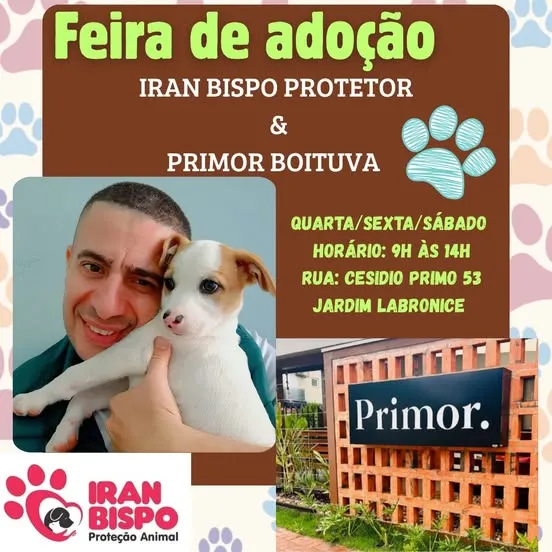 Participe da feira de adoção de animais em Boituva e encontre seu novo amigo! Evento realizado por Iran Bispo Protetor & Primor Boituva.