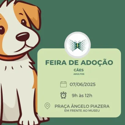 9ª Feira de Adoção de Cães Adultos