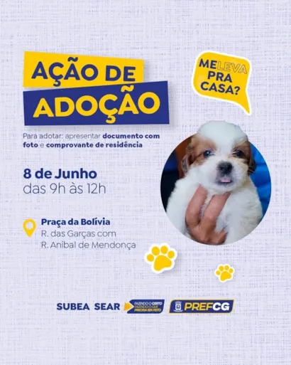Encontre Seu Novo Melhor Amigo na Feira de Adoção!