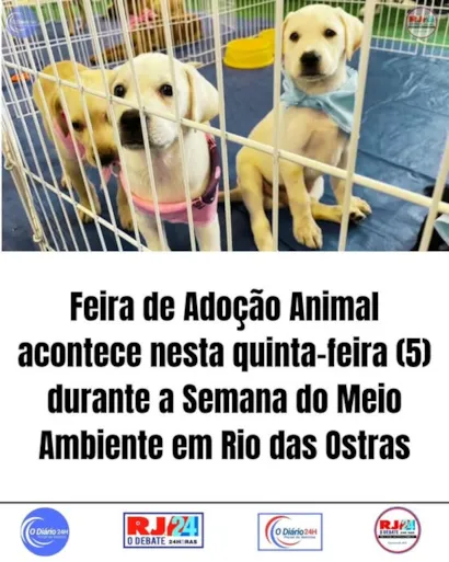 "Adote um Amigo na Semana do Meio Ambiente"