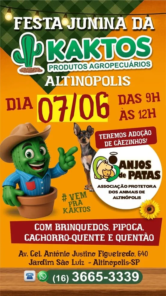 Participe da Festa Junina da Kaktos em Altinópolis e adote um cãozinho! Diversão garantida com pipoca e cachorro-quente!