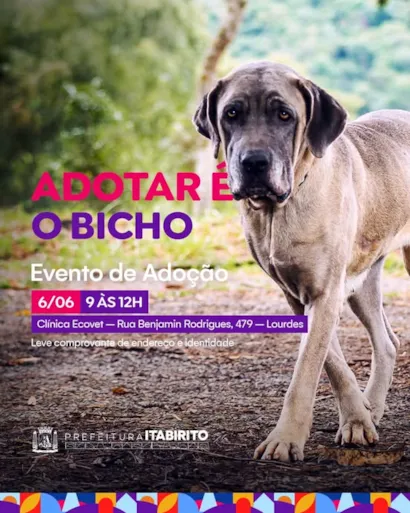 Evento de Adoção "Adotar é o Bicho"