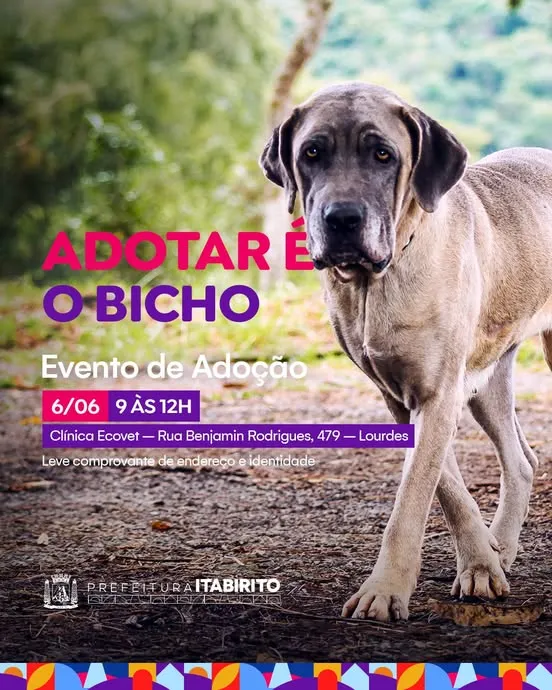 Evento de Adoção "Adotar é o Bicho"