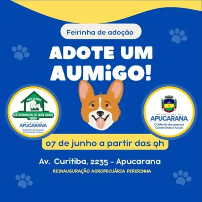 Adote um AUmigo: Feirinha de Adoção em Apucarana