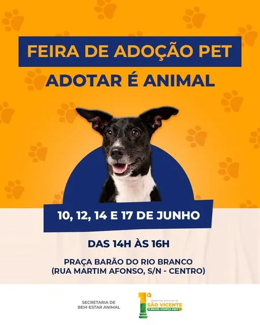 Participe da Feira de Adoção Pet na Praça Barão do Rio Branco, São Vicente, nos dias 10, 12, 14 e 17 de junho de 2025, e adote um novo amigo.