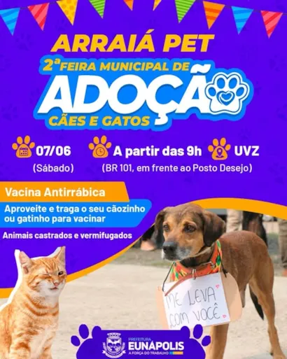 "Arraiá Pet: Feira de Adoção de Cães e Gatos 2025"