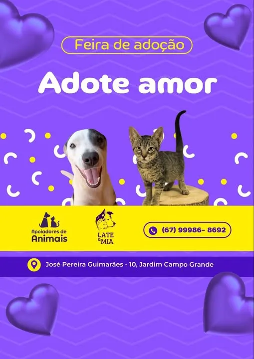 Venha para a Feira de Adoção em Campo Grande e encontre seu novo melhor amigo. Organizado pelos Apoiadores de Animais LATE 'MIA, adote amor!