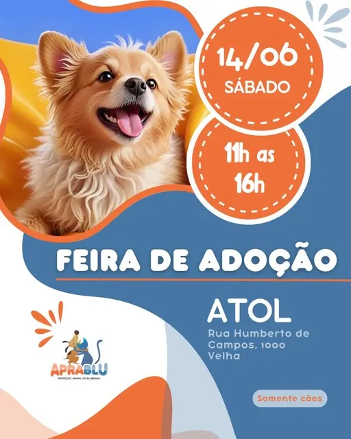 Participe da feira de adoção em Blumenau no dia 14/06/2025 e encontre seu novo amigo de quatro patas. Evento no ATOL, das 11h às 16h.