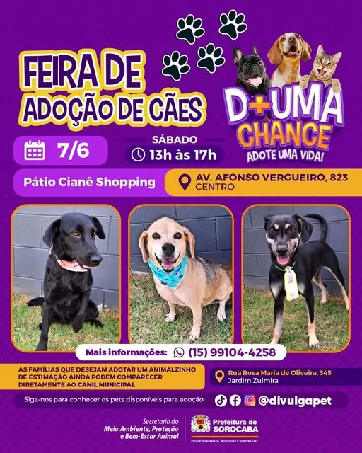 Junte-se a nós na Feira de Adoção de Cães em Sorocaba no dia 7 de junho de 2025. Encontre seu novo amigo no Pátio Cianê Shopping.