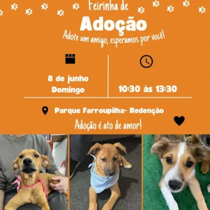 Venha Adotar Novos Amigos na Feirinha de Adoção!
