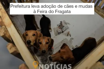 Adote um Amigo e Plante um Futuro: Feira do Fragata 2025