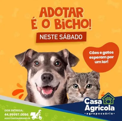 Adotar é o Bicho!