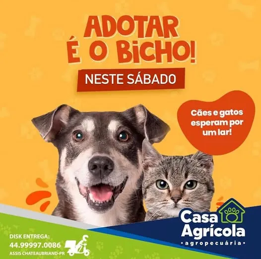 Adotar é o Bicho!