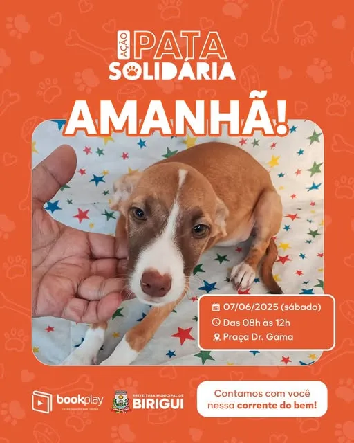Participe da Ação Pata Solidária em Birigui no dia 07/06/2025, das 08h às 12h, na Praça Dr. Gama. Venha fazer parte dessa corrente do bem e ajude na adoção de animais!