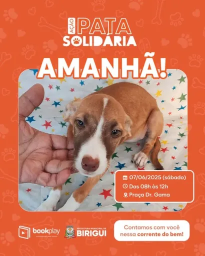 Participe da Feira de Adoção Pata Solidária em Birigui!