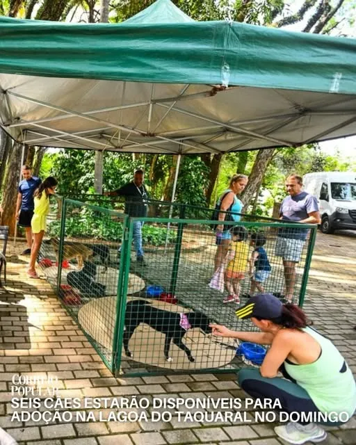 Participe da Feira de Adoção de Cães na Lagoa do Taquaral em Campinas. Adote um amigo!