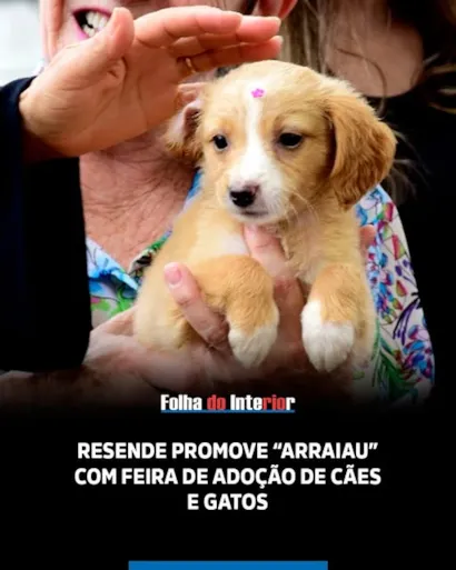"Venha Ao Arraiau: Feira de Adoção de Cães e Gatos"