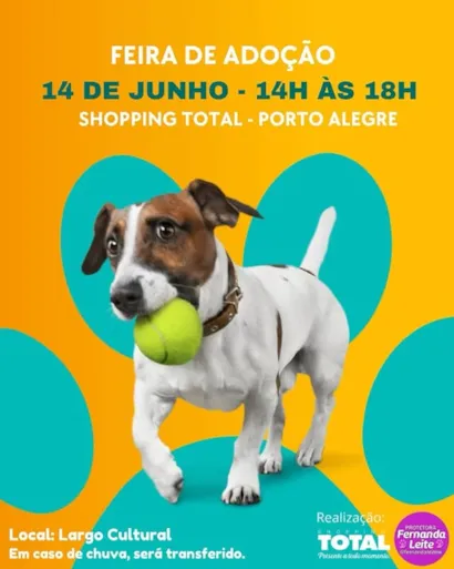 Encontre Seu Novo Melhor Amigo na Feira de Adoção