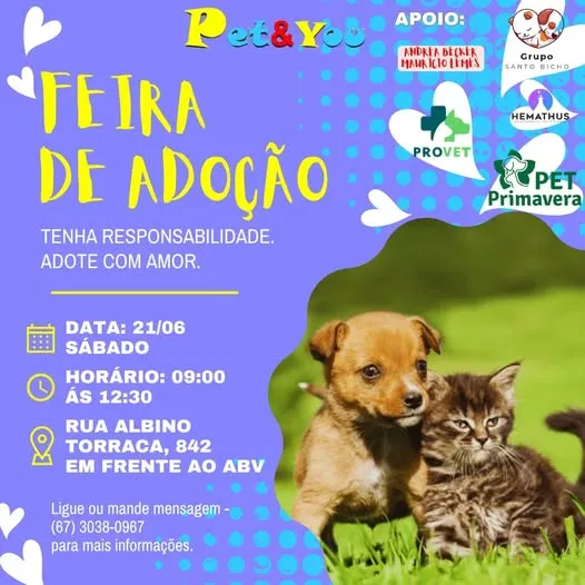 Venha para a Feira de Adoção em Campo Grande no dia 21/06/2025. Adote com amor e responsabilidade.