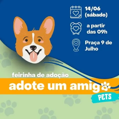 Encontre Seu Amigo de Quatro Patas na Feira de Adoção!