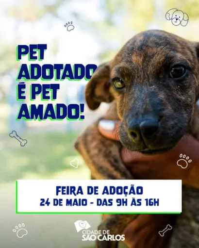 Feira de Adoção em São Carlos - Encontre seu Novo Amigo!