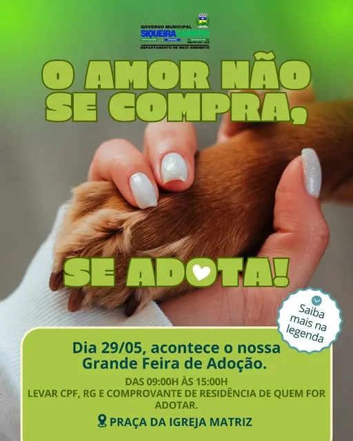 Venha para a Feira de Adoção em Siqueira Campos e encontre seu novo amigo! Dia 29/05, na Praça da Igreja Matriz. Confira horários e documentos necessários.