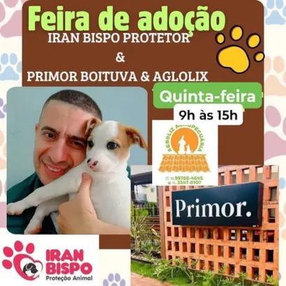 Venha participar da Feira de Adoção de Animais
