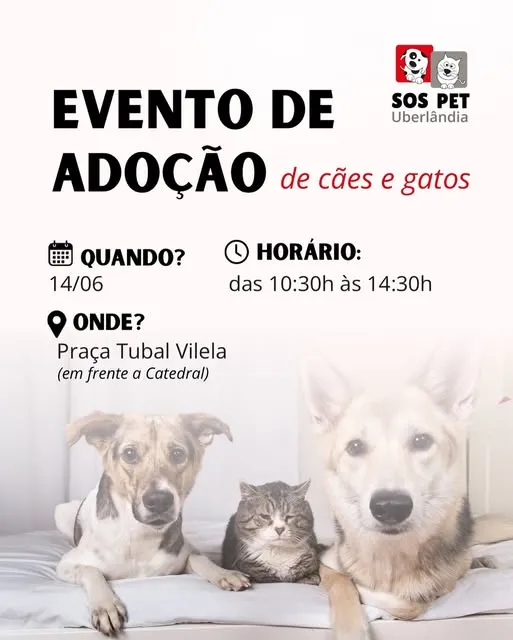 Participe do evento de adoção de cães e gatos em Uberlândia! Dia 14 de junho de 2025, na Praça Tubal Vilela. Encontre seu novo amigo!