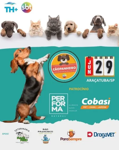 Encontre Seu Novo Cãopanheiro
