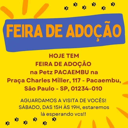 Participe da Feira de Adoção na Petz Pacaembu e encontre seu novo amigo! Praça Charles Miller, 117, São Paulo, SP. Dia 2025, das 15h às 19h.