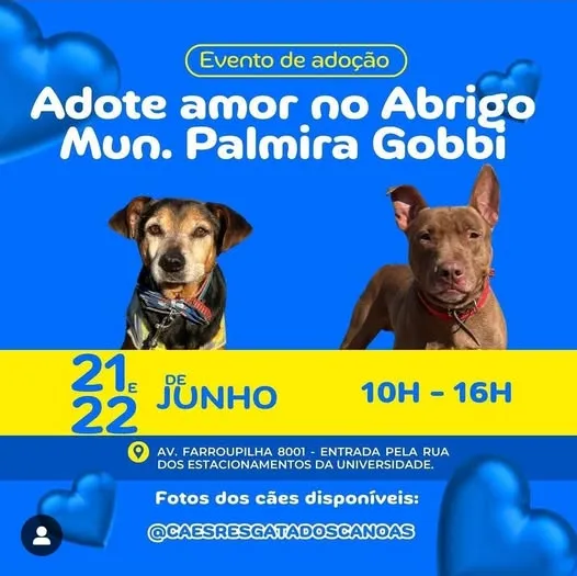 Participe da feira de adoção no Abrigo Mun. Palmira Gobbi em Canoas nos dias 21 e 22 de junho. Encontre seu novo amigo de quatro patas!