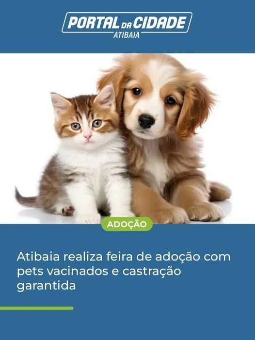 Participe da feira de adoção em Atibaia 2025 e encontre cães e gatos prontos para um novo lar. Vacinação e castração garantidas!