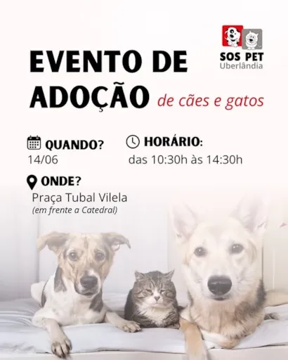 Encontre seu Novo Melhor Amigo: Feira de Adoção em Uberlândia
