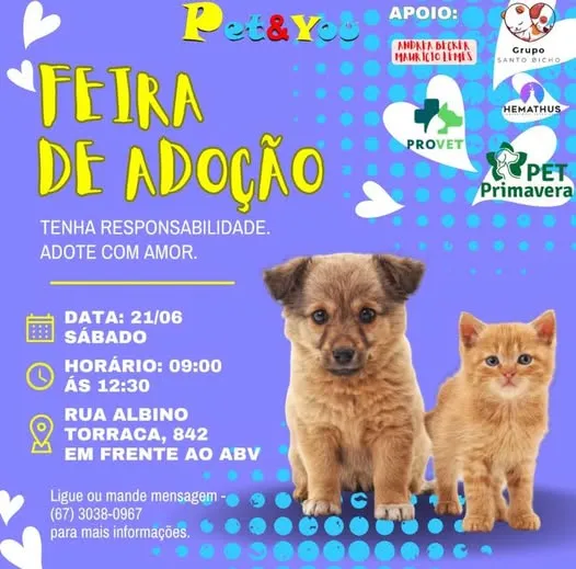 Participe da Feira de Adoção em Campo Grande no dia 21 de junho de 2025. Adote com responsabilidade e amor. Confira o local e horário do evento.