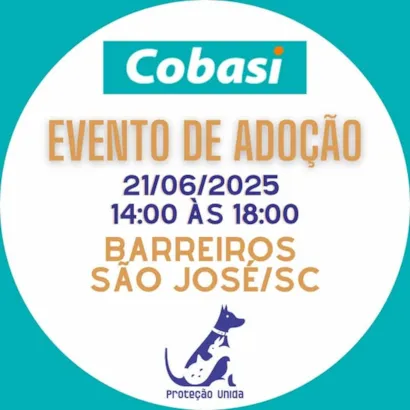 Venha Encontrar um Amigo na Feira de Adoção Cobasi!