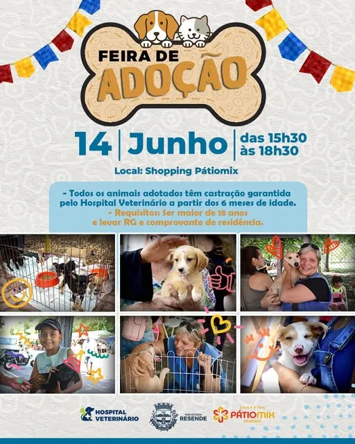 Encontre seu Amigo de Estimação na Feira de Adoção