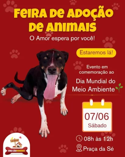 Encontre Seu Novo Melhor Amigo na Feira de Adoção!