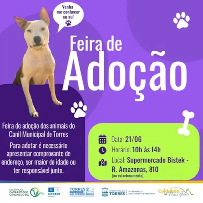 "Encontre Seu Melhor Amigo na Feira de Adoção"